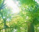 癒されたい、聞いてほしいを包み込みます とにかく落ち込んでる、悲しい励ましてほしい人は試してください イメージ1