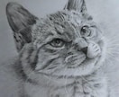 鉛筆画で人・猫・犬のリアルな似顔絵の制作致します 手作り木額縁もセットです。良い感じのインテリアになりますよ！ イメージ3