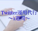 1週間本気でTwitterの作業を代行します 店舗でも個人でも可。面倒な作業全部お任せください♪ イメージ1