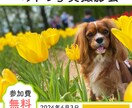 思わずタップしたくなるWEB画像作成します 最初の10件限定で低単価にてお受けしております！ イメージ4