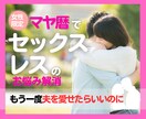 セックスレスの悩みマヤ暦で夫との向き合い方伝えます 夫を男として見られない／もう一度愛し合うための心の処方箋 イメージ1