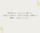 あなたと「うちの子」が出会った意味を読み解きます 出会えた意味や使命を知るだけでもっと愛おしくなる。 イメージ2