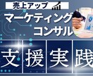 売上増加のお手伝いを現役経営者が相談に乗ります 売上に伸び悩む顧客様へのマーケティングコンサルティング支援 イメージ1