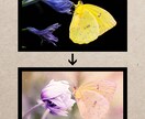 プロが写真のレタッチや合成をします ありえない世界をあるかのように！！！ イメージ3