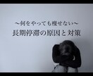 何をやっても痩せない、長期停滞の脱却PDF渡します 〜痩せる身体への道のりとダイエットを終わらせる方法〜 イメージ1