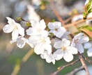 小さな事からコツコツと心の悩みお聞きします 一人で悩まず明るい未来を一緒に掴みましょう イメージ1