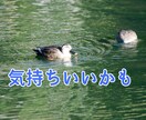 恋愛 初回・・初秋 愛の行方 奏でます 初回限定サービスです。リピーター様も、一回だけぜひとも♡ イメージ3