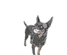 フォローで￥300OFF！優しいタッチで描きます ナチュラルで飾りやすい優しいタッチのペットアートを制作 イメージ7