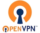 格安の個人・小規模向けVPNの構築を代行します IP固定、安心・安全・安価なVPNを使えるまでサポート！ イメージ1