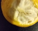 今ある食材で作ります コロナ渦で食材無駄にしない献立考えます！ イメージ3