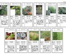 お庭の環境とイメージにマッチした植物を選定します お庭に植える植物選びにお困りの方へ イメージ4
