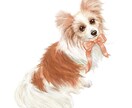 ふんわりやさしいタッチで似顔絵をお描きします 愛犬・愛猫のアイコン、プレゼント用にも！商用利用可⭐︎ イメージ4