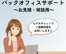 ビデオチャットでの事前打ち合わせ用となります ～バックオフィス代行購入検討者の方専用！ イメージ1
