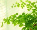 人間関係や仕事、人生の悩み。批判なしでお聴きします 悩みを話して思いを整理して前に進むきっかけの時間にしましょう イメージ8