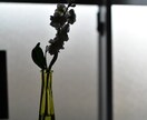 あなたの心のモヤモヤ聞きます 心が敏感で周りに気を遣いすぎてしまう、優しいあなたへ。 イメージ1