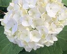 明日からできる!男性全般にモテる方法をお伝えします 男性にモテる具体的方法 難しいテクニックは不要です イメージ1
