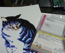 あなたの猫ちゃんのイラストお描きします 猫ちゃん限定ですが、あなたのペットのイラストお描きします イメージ3