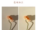 画像加工・文字入れ対応いたします SNS投稿用写真などご相談ください！ イメージ3