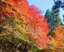 岡山の旅行プランを作成します あなただけの旅行プランを地元民がご提案します！ イメージ5