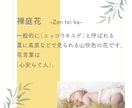 あなたの夢と思いをカタチにするデザインいたします さまざまな経験の視点からお客様にぴったりの作品をご提供します イメージ4