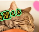悩み、悩みでもない事、何でも聴きます 気持ち晴らしましょ✨心が軽くなる相手◎一切否定しません イメージ1