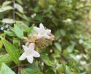テキストでの悩み相談致します 文章でなら伝えやすい方、遠慮なくどうぞ。 イメージ1