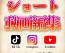 SNS用ショート動画の編集します 各種SNS多数運用実績あり！！ イメージ1
