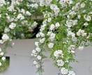 現役看護師が貴方の悩み・愚痴・雑談等をお聞きます 1分からでもOK◎居場所のような会話を、お届けします イメージ3