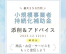 小規模事業者持続化補助金の添削アドバイスいたします ＼特別価格でサポートします！／ イメージ1