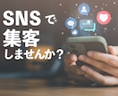 広告代理店出身者がInstagramの運用代行ます プロ目線の運用！！丸投げもOKです！ イメージ2