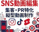 スピード対応＊ショート動画編集承ります ジャンルに合わせて柔軟に対応いたします！継続のご相談も大歓迎 イメージ1