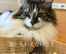 少しでも心が軽くなってくれたら嬉しいですます だれかに聴いて欲しい夜ありませんか？ イメージ1