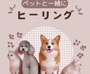 大切なペットちゃんと飼い主様をご一緒に癒します 【レイキヒーリングで仲良くリラックス】至福の３０分♡ イメージ2