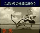 奄美大島をディープにガイドします ここが知りたい！ウェブにはない情報をお伝えします。 イメージ3