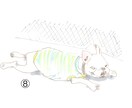 お好きな絵柄で動物のイラストをお描きします ペットや動物をお好きな絵柄で、アナログイラストに仕上げます。 イメージ9
