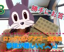 演奏動画にアドバイス動画を返信します 動画で解決！みーみー先生のバイオリン道場♪ イメージ1