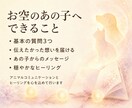 お空のあの子と心をつなぎ想いをお届けします 言葉にならない質問の整理と、優しいヒーリングを行います イメージ3