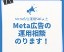 Meta広告の課題をヒアリングし改善策を提案します Meta広告施策や設定、クリエイティブのPDCAにお悩みの方 イメージ1