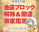 停滞を打破！金運ブロック解除＆開運鑑定します 金運を滞らせているブロックを見つけ出し、未来を変える一歩を。 イメージ1