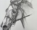 馬の鉛筆モノクロアイコン描きます 写真から制作｜繊細な鉛筆タッチ・モノクロ＋差し色対応 イメージ3