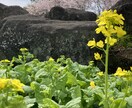 楽しい、嬉しい、腹が立つ、気持に優しく共感します ️ ☘誰かに耳を傾けて、否定しないで話しを聞いて欲しい方へ☘ イメージ4