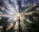 前世鑑定|あなたがこの家に生まれた意味を霊視します 守護霊・前世・霊能力の繋がりから、魂の使命を読み解きます イメージ10