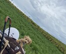 あなたの心に寄り添います 普段吐き出したくても我慢していることやどんな事でも聞きます！ イメージ2