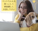 アニマルコミュニケーションで動物の気持ちを聞きます ペットちゃんがあなたに伝えたいことがあるようです。 イメージ2