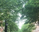 英語圏への留学のための語学勉強サポートします 2ヶ月で完成！英検1級高得点合格者による語学勉強サポート イメージ2