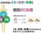 腸活、体質改善のやり方を教えます 健康の入り口は腸活、健康のシートベルトは体質改善 イメージ2