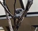 ちょこっと話を聞いてほしい…。5分でもお話聞きます カウンセリングじゃなくて、なんとなく聞いてほしいコト。 イメージ2