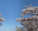 恋愛•子育て•仕事の不安や悩みなんでも相談乗ります 知らない人だから気兼ねなく話せる。心の中のゆとりになります イメージ3