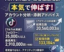 TikTok運用アドバイス・アカウント添削します フォロワー3.5万達成者が伸ばすための具体的な改善策を提供 イメージ1
