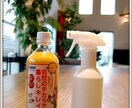 微生物の知識やご自宅での活用方法をレクチャーします 自然由来の善玉菌をご自宅での活用方法などのレクチャー イメージ3